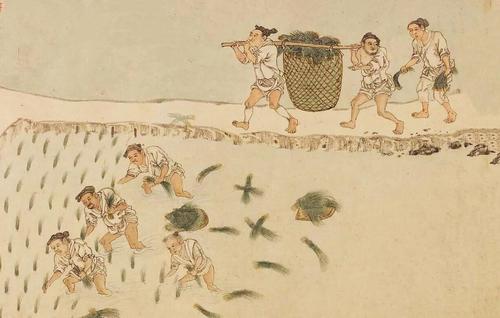 婁師德