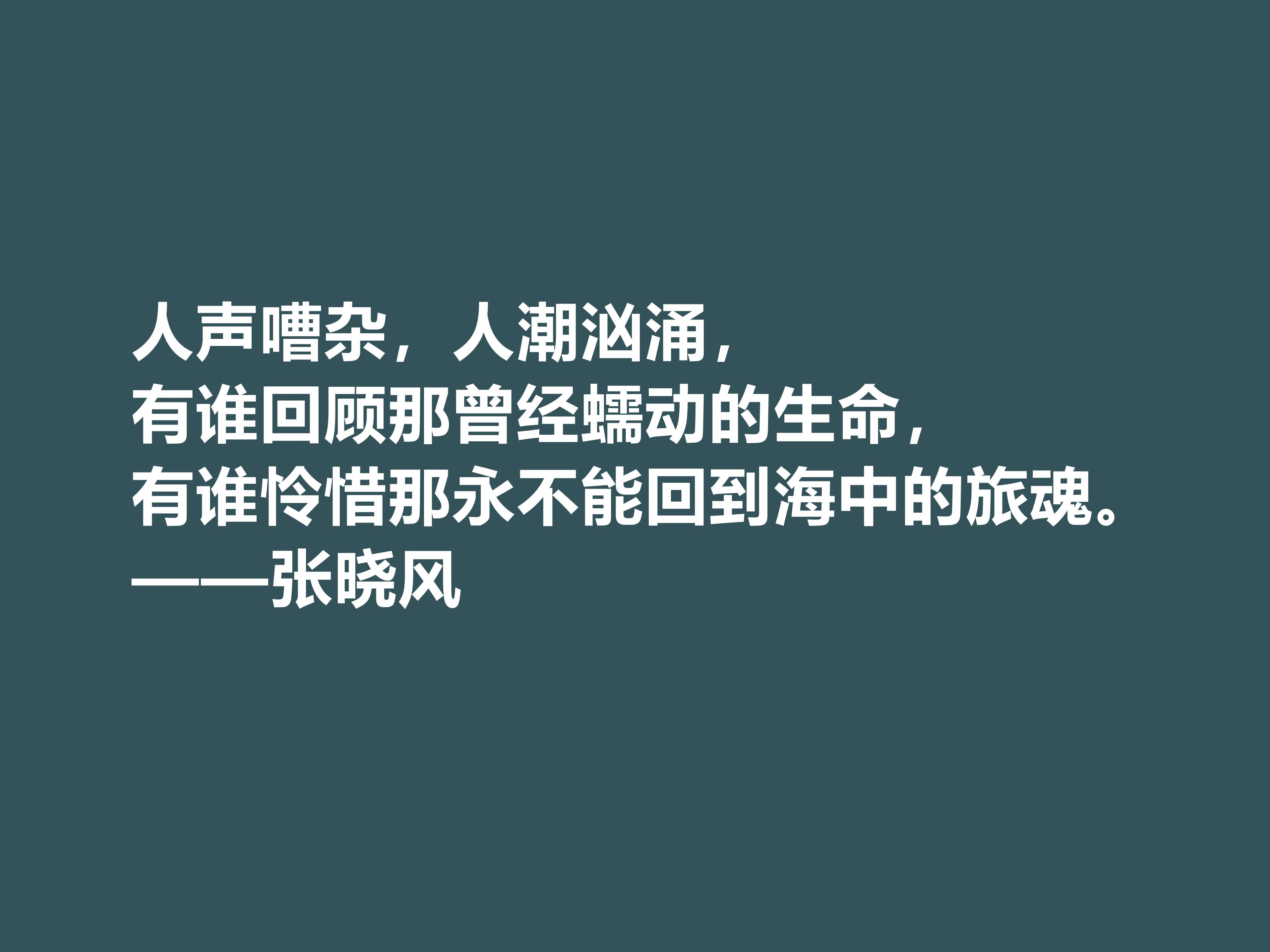 張小風