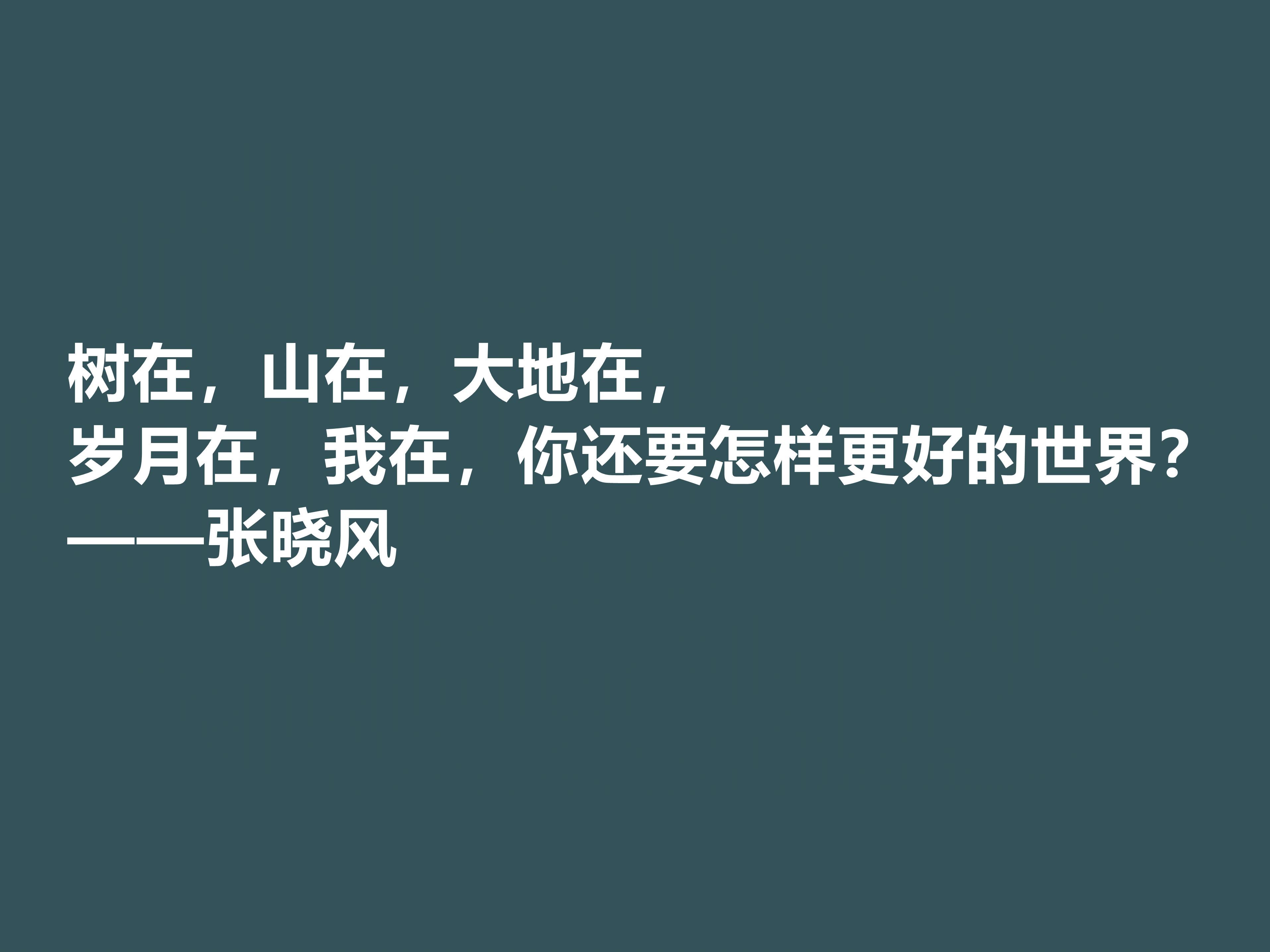 張小風