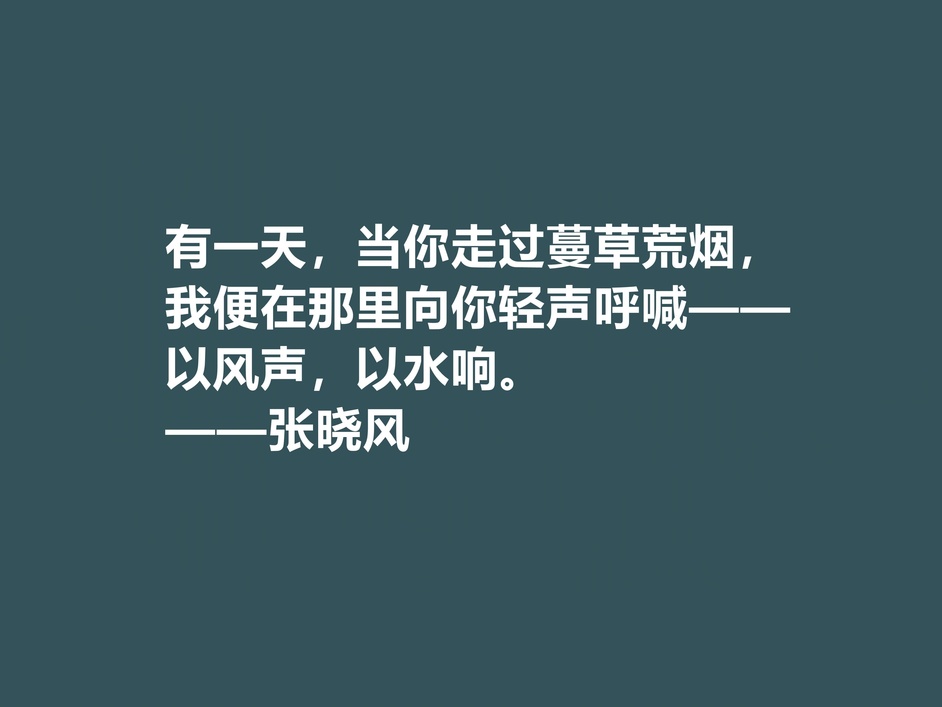 張小風
