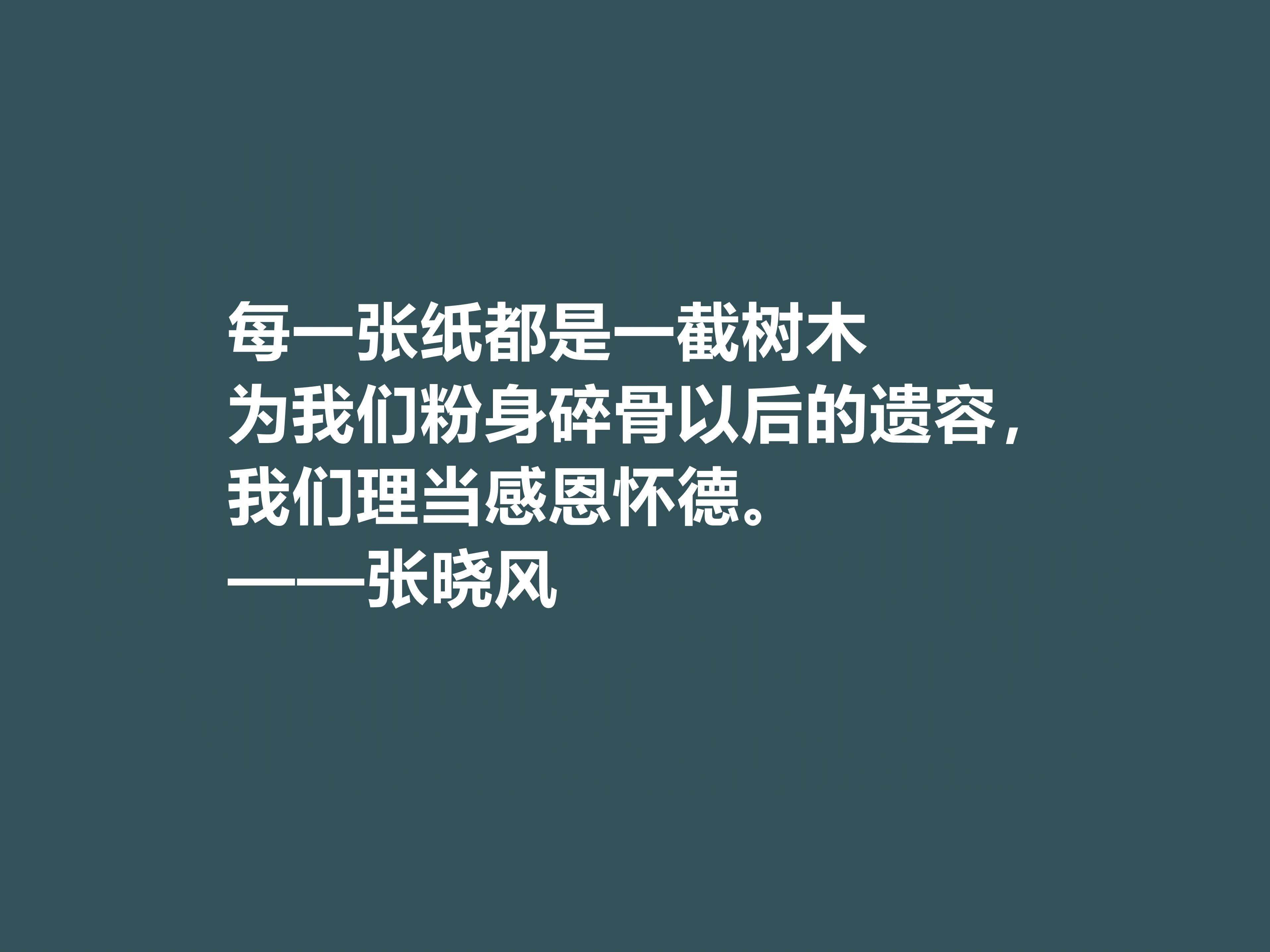 張小風