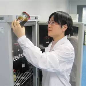 魯毅