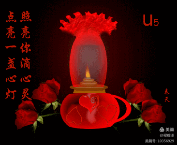 楊光合