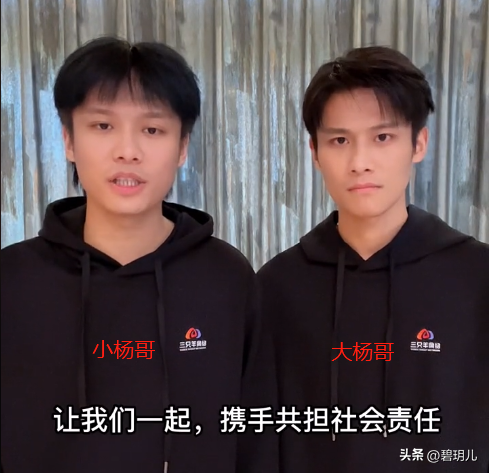 小楊哥