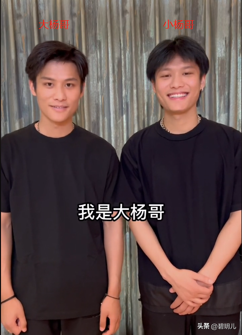 小楊哥