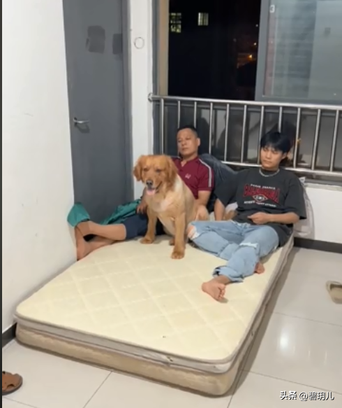 小楊哥