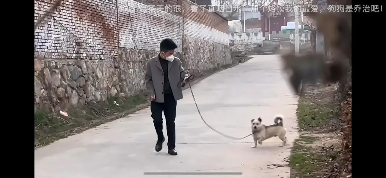 董宇輝