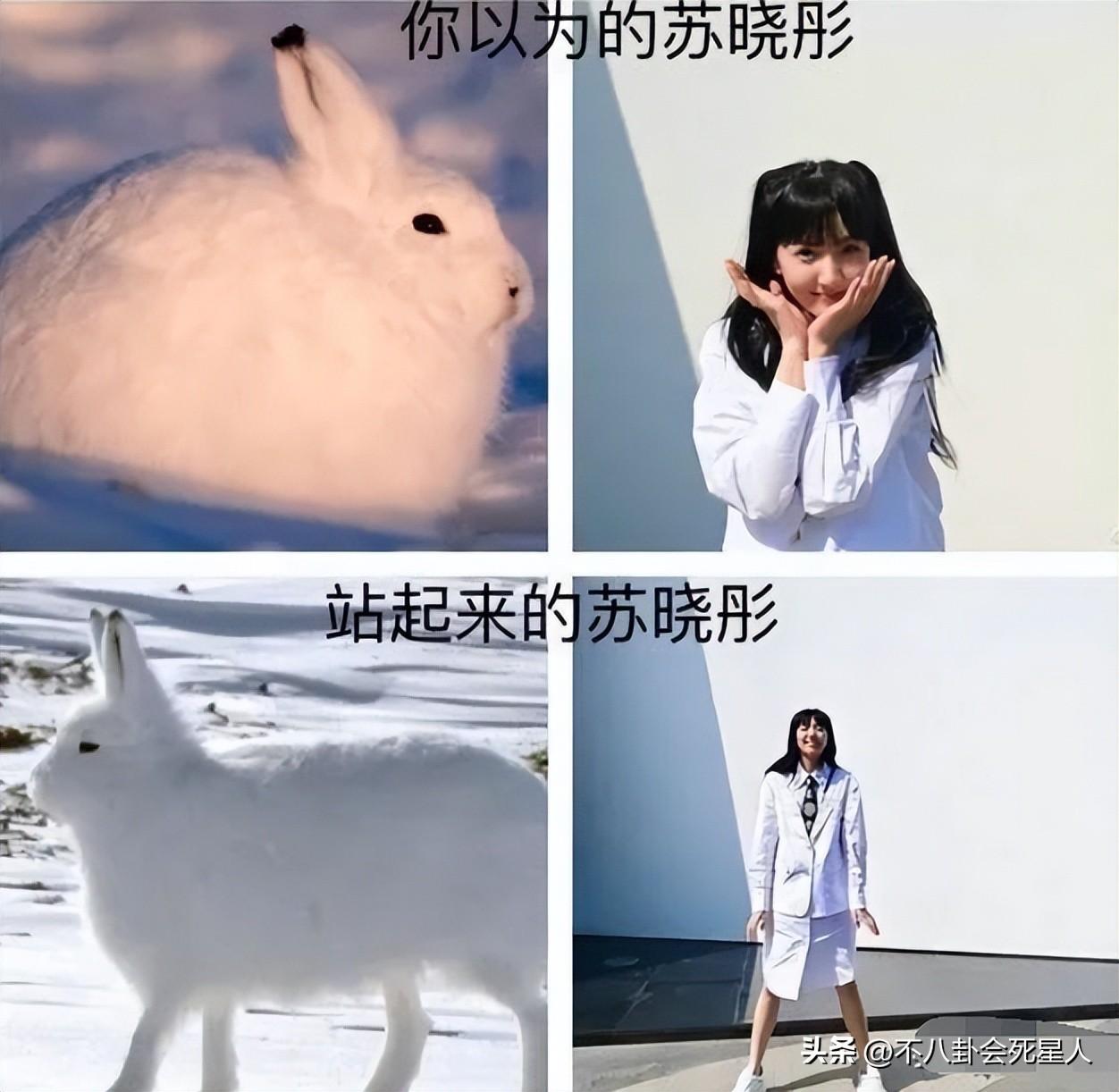 田曦薇