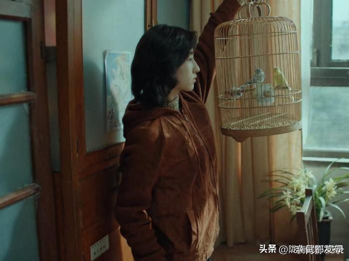 張子楓