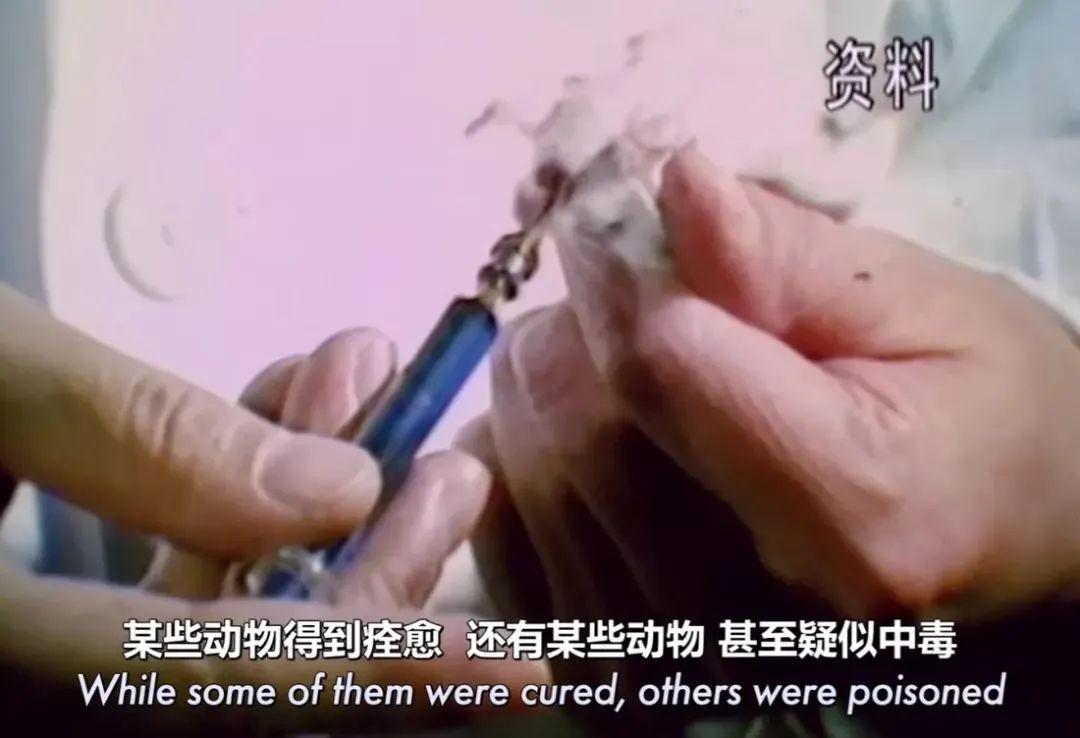 屠呦呦