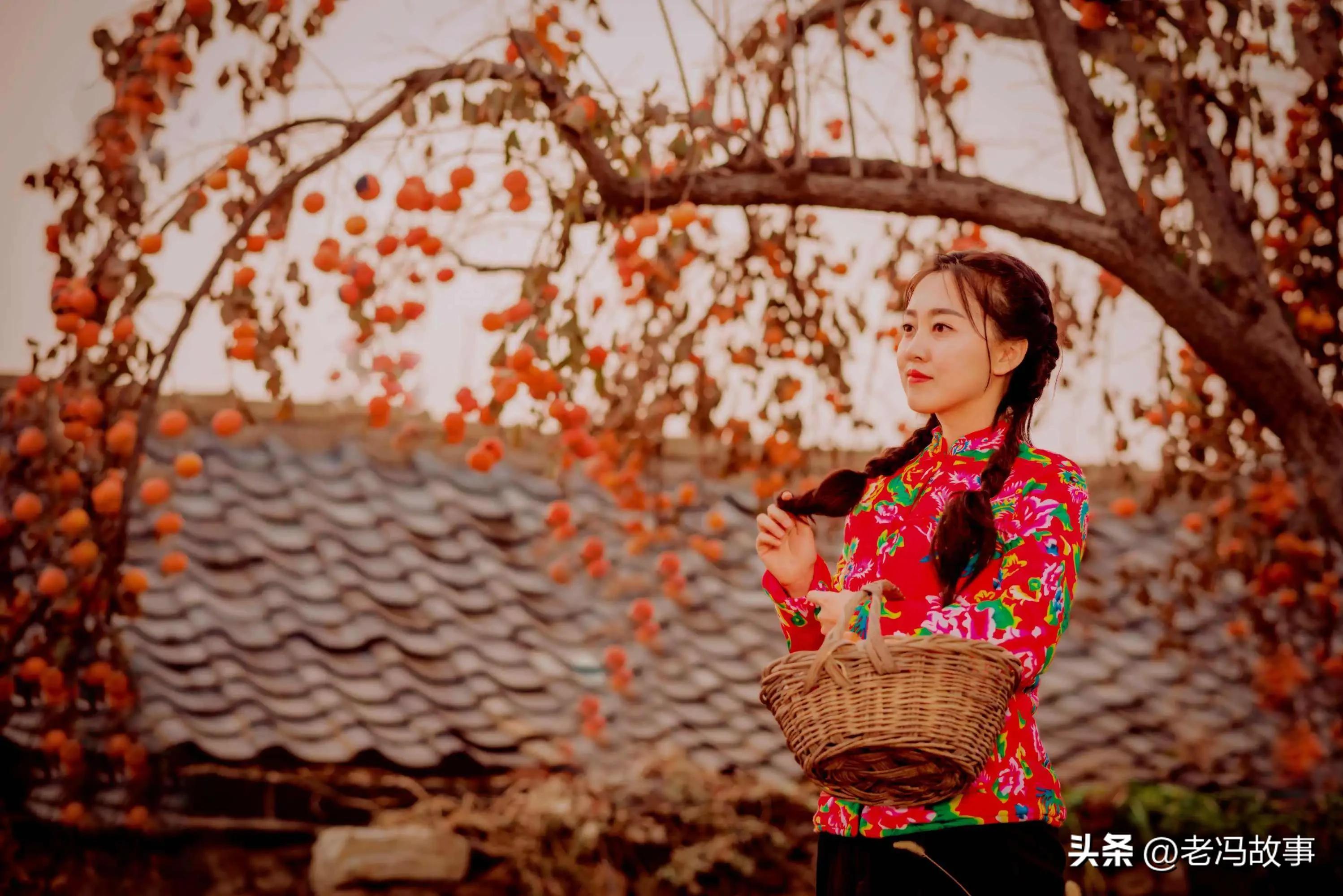 馬曉東