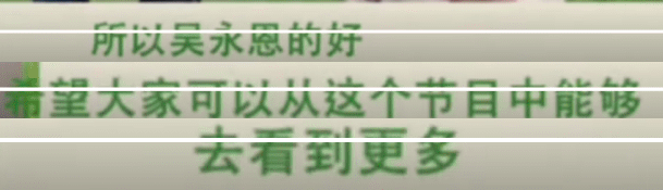 王子文
