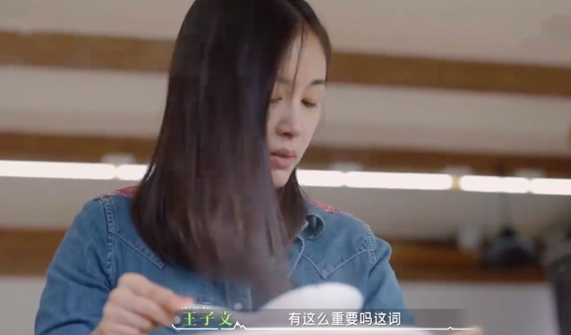 王子文