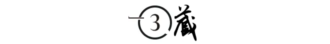 柳傳志