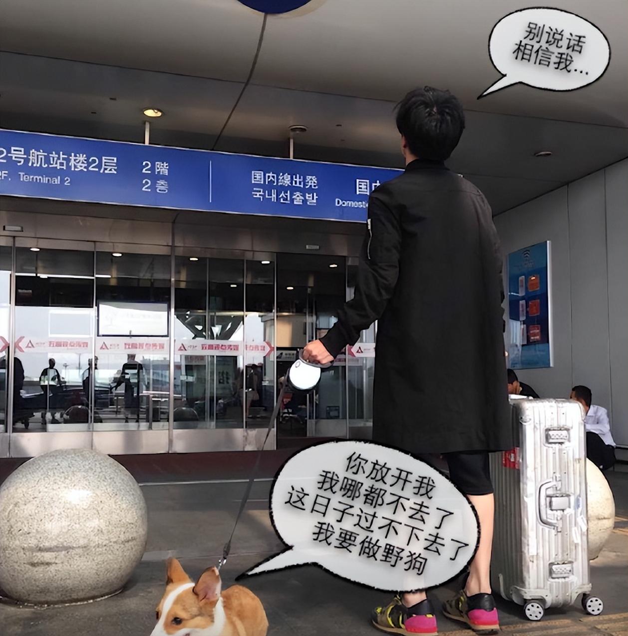 薛之謙