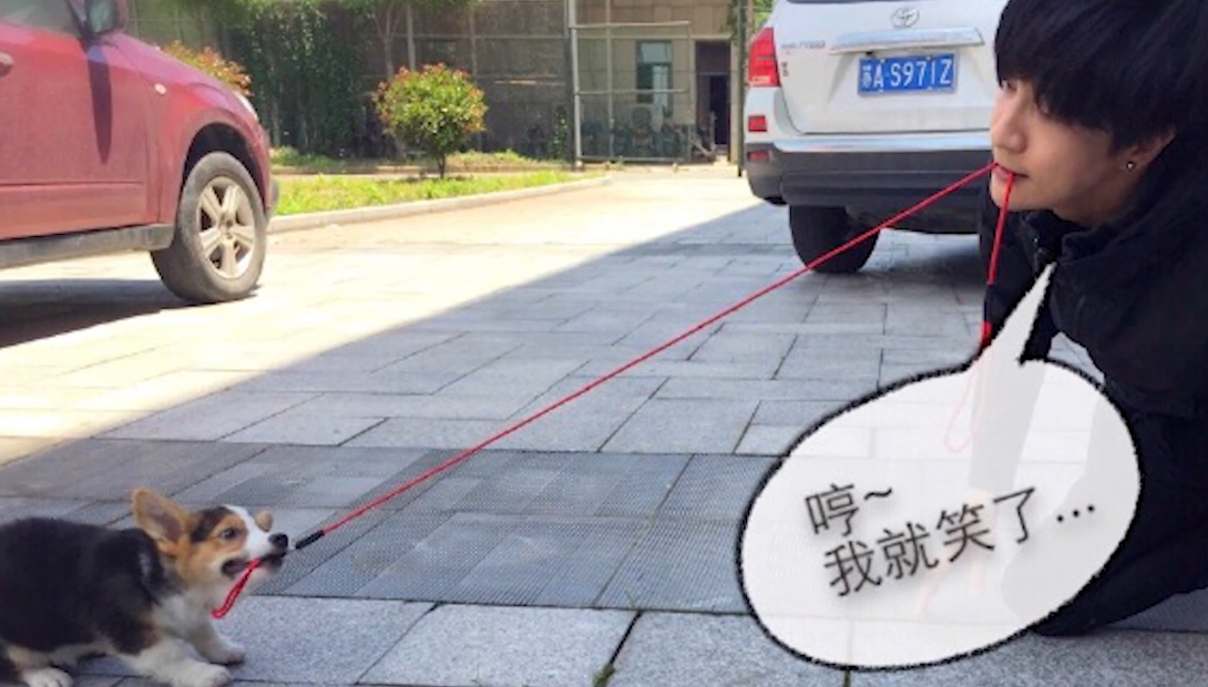 薛之謙