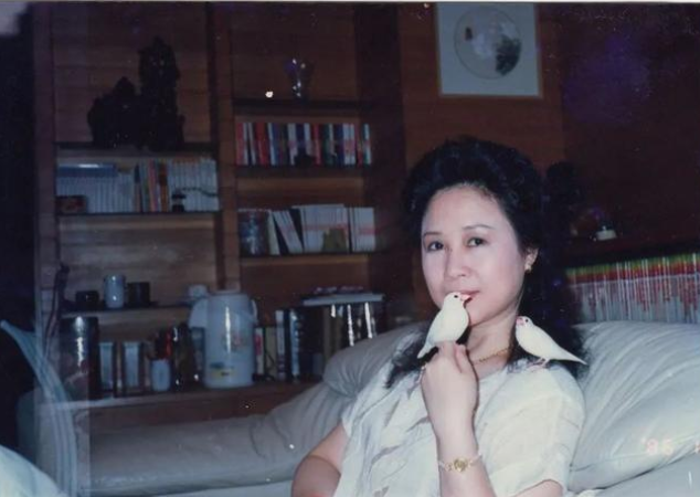 瓊瑤