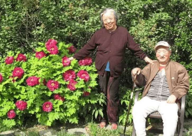 陳佩斯