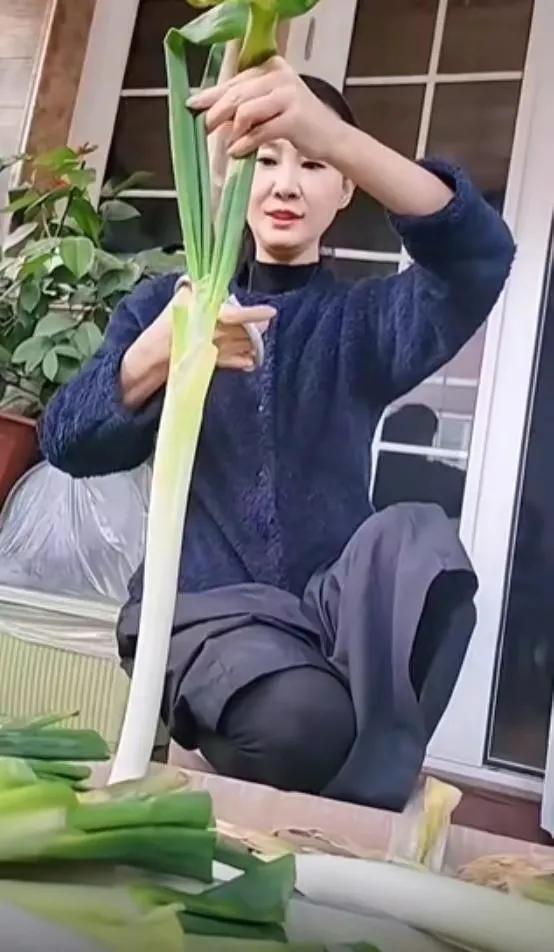 於文華