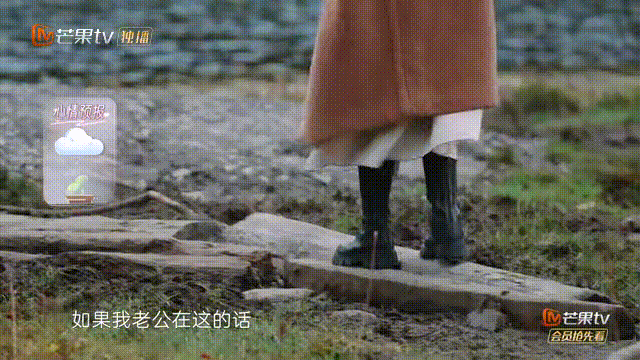 苗苗