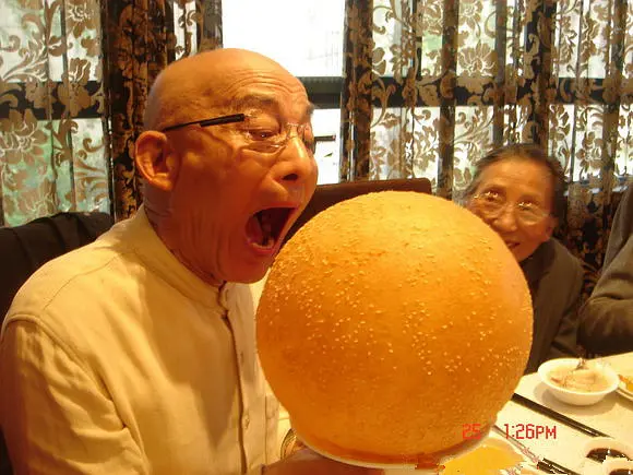 遊本昌