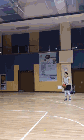 王哲林