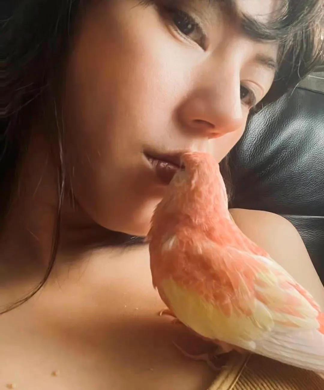 劉心悠