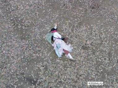 林依晨