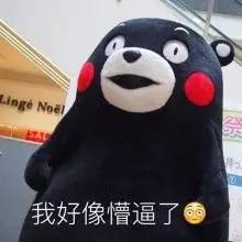 黃海冰