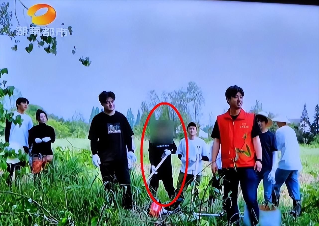李維嘉