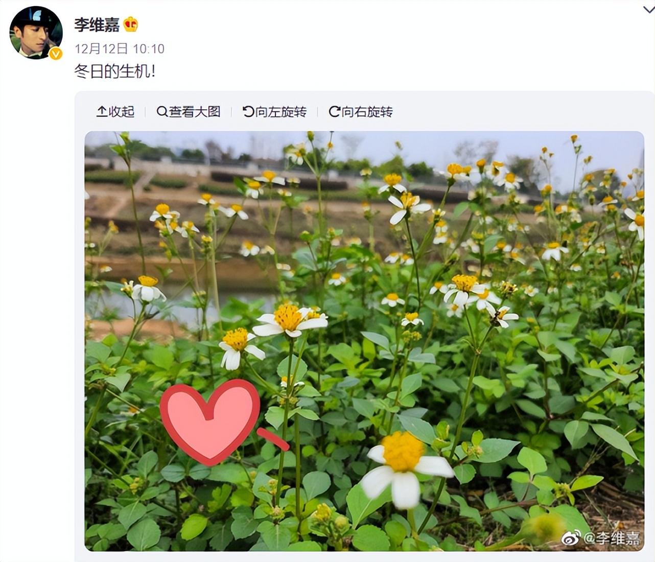 李維嘉