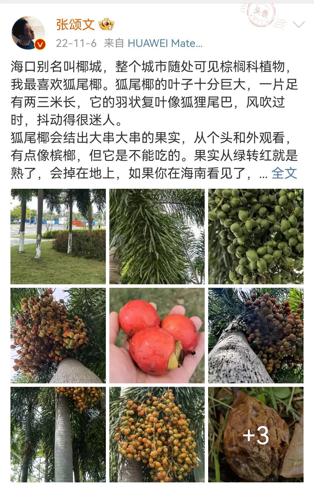 張頌文