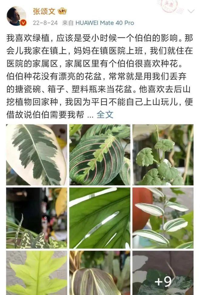 張頌文