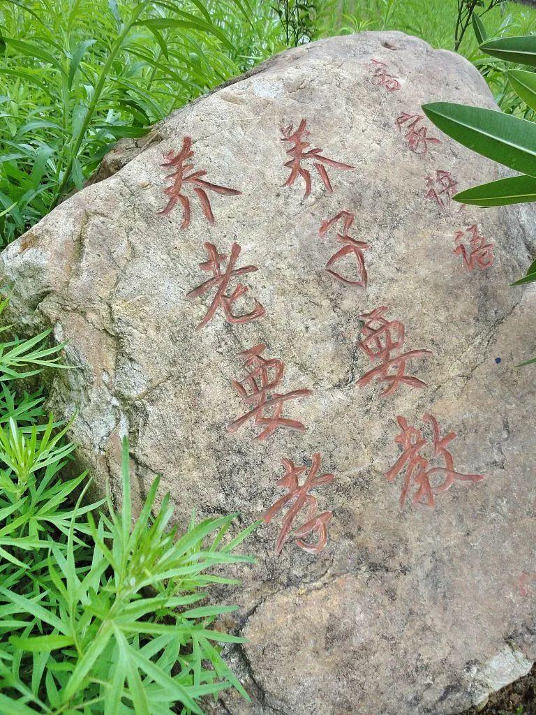 張頌文