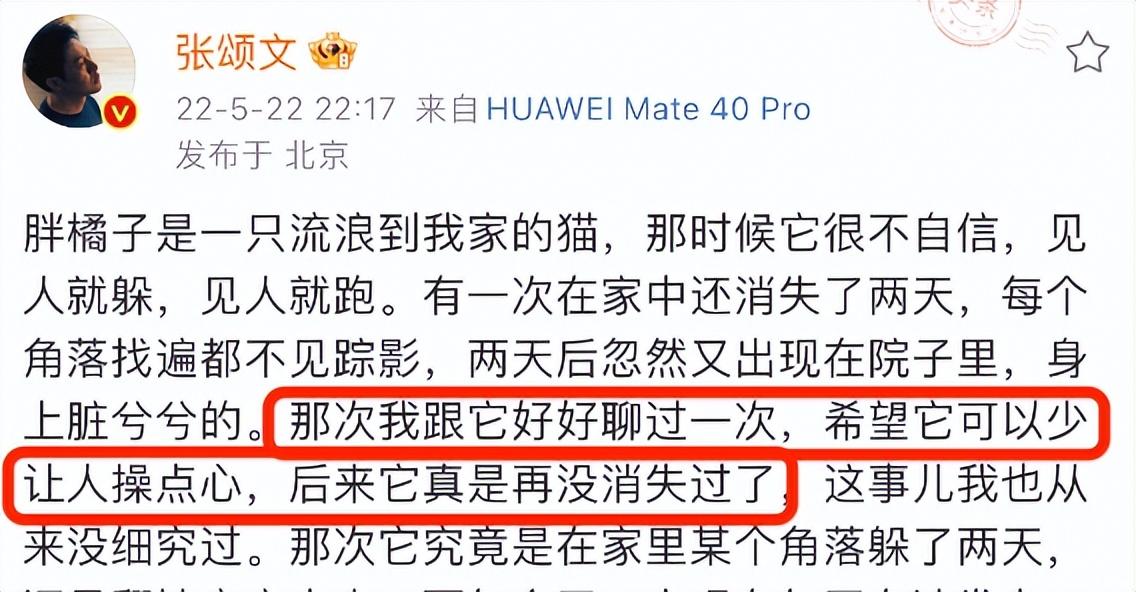 張頌文