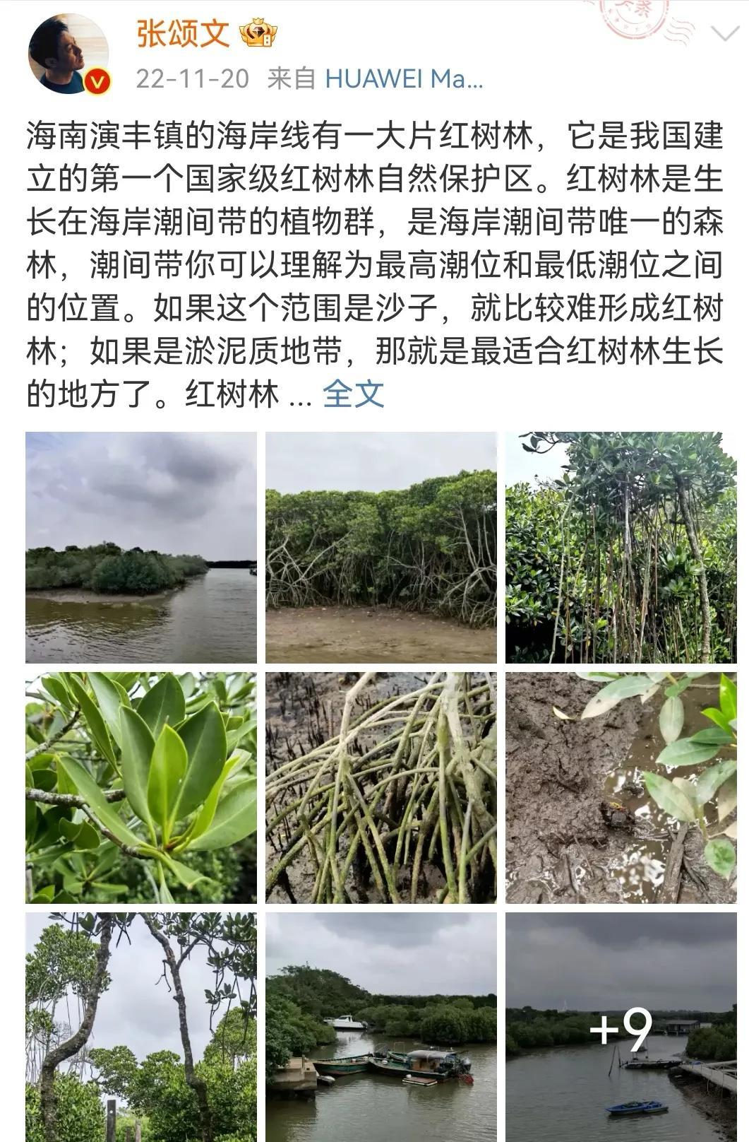 張頌文