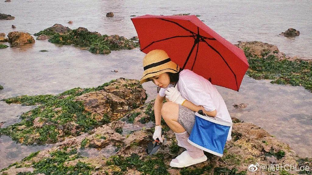 高葉