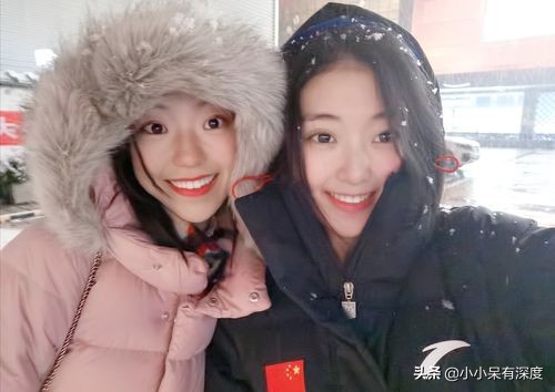 樊振東