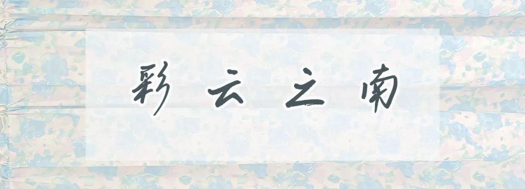 趙麗穎
