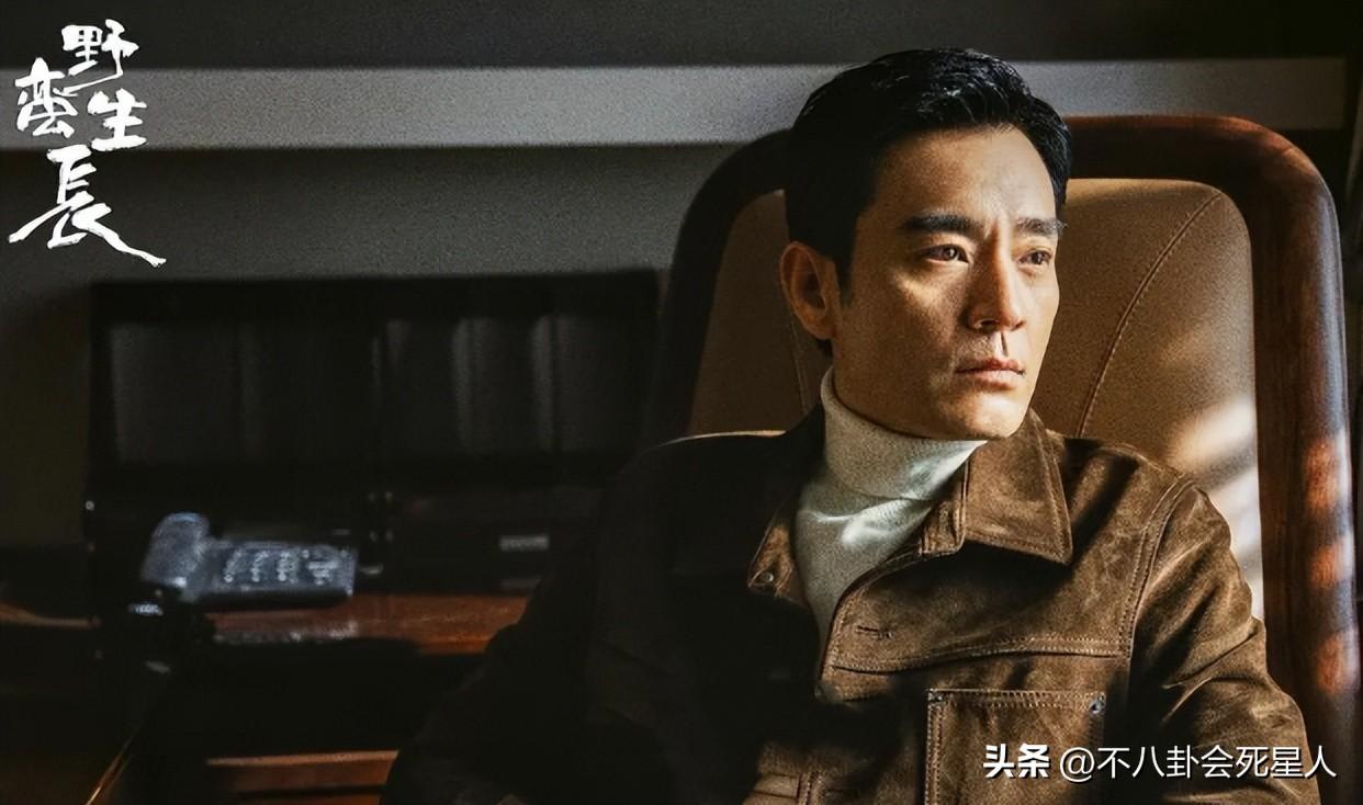 趙麗穎