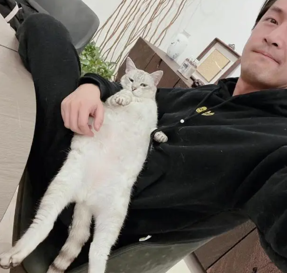 胡歌