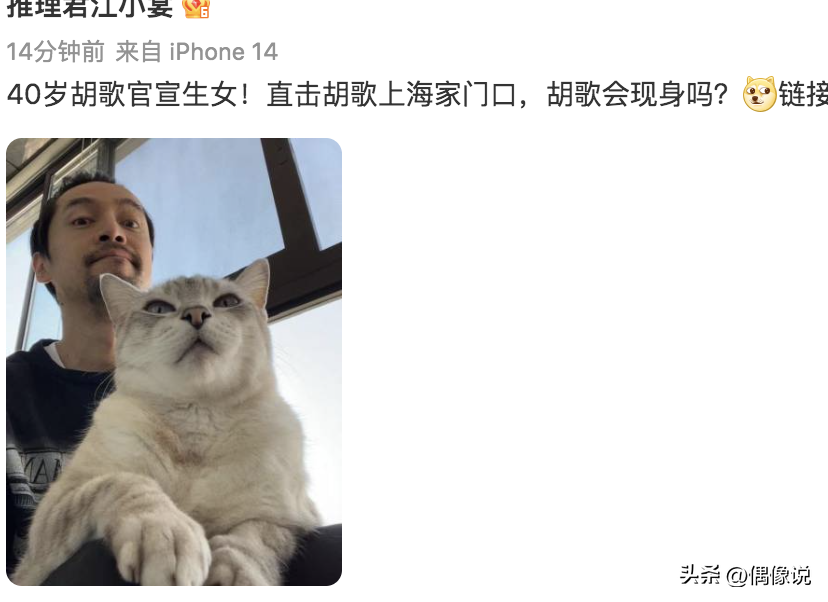 胡歌