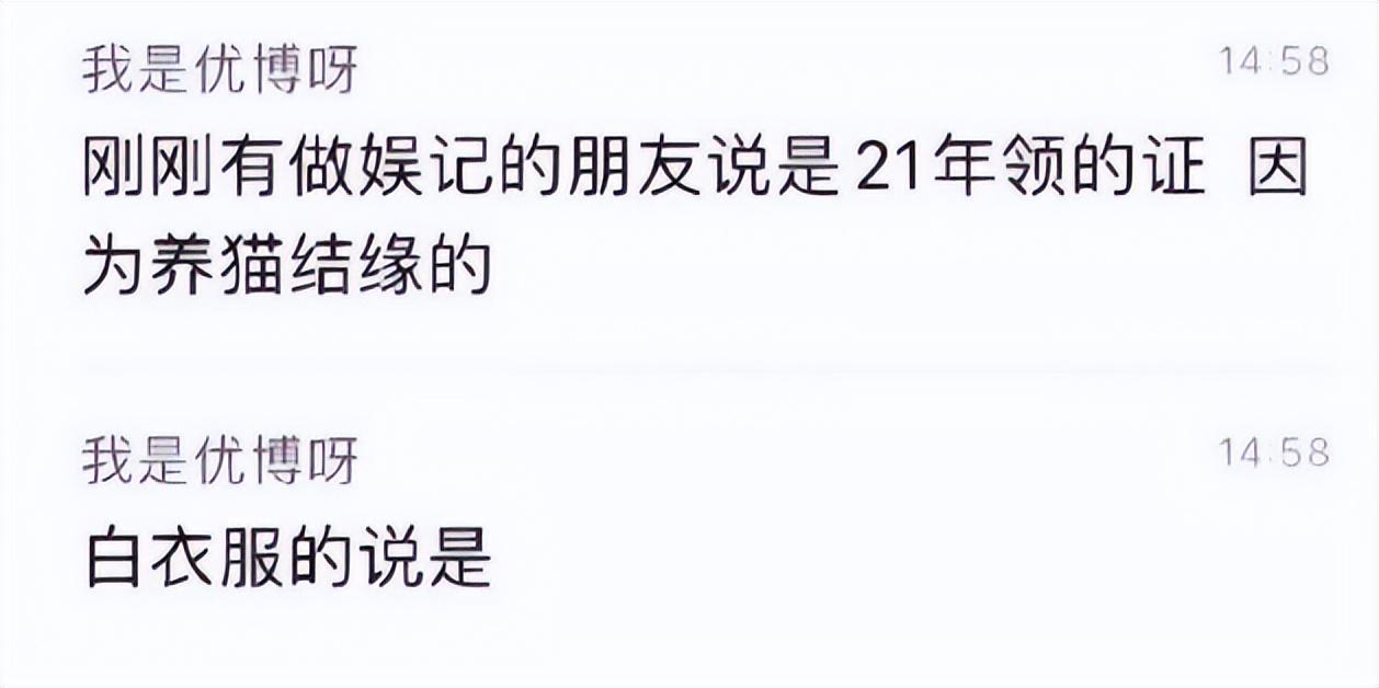胡歌