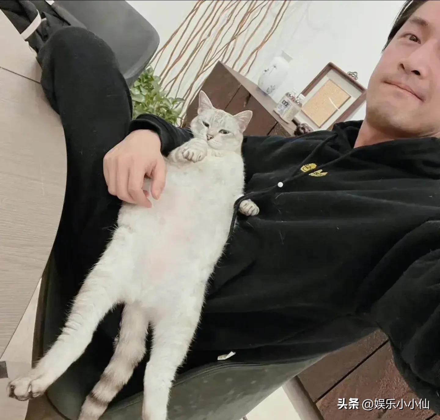 胡歌