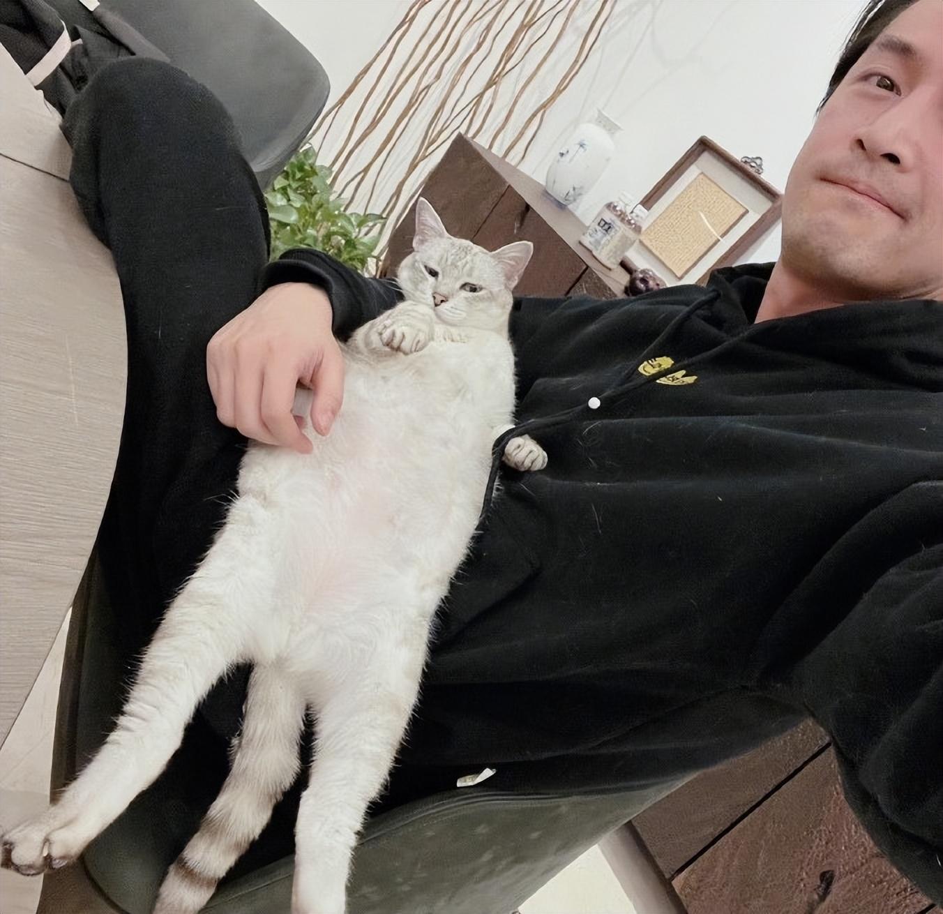 胡歌