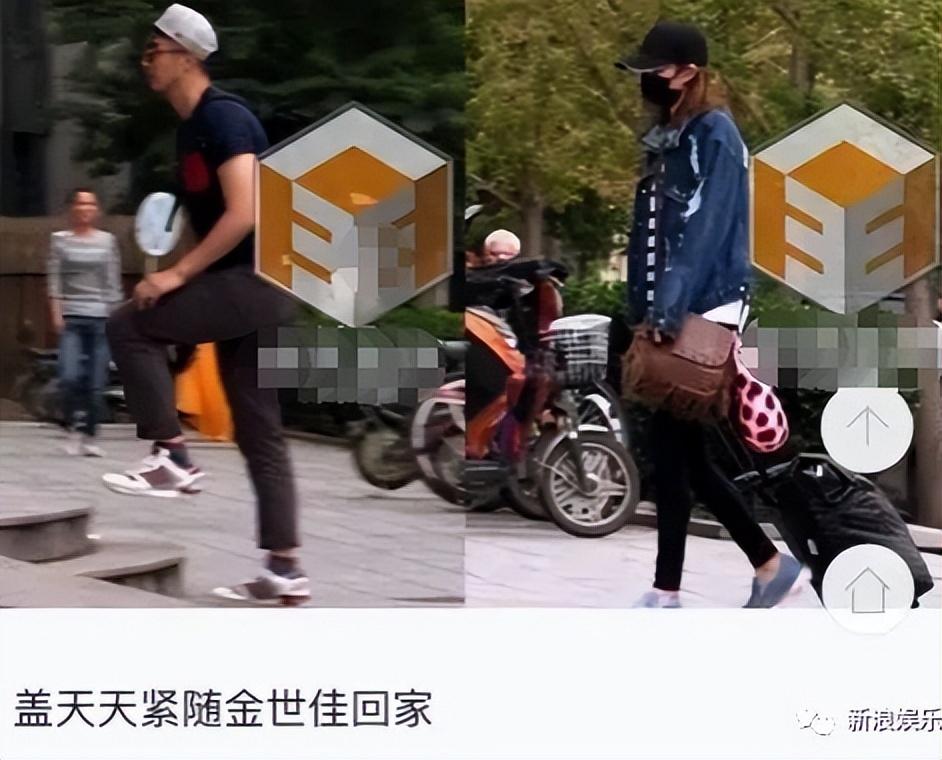 金世佳