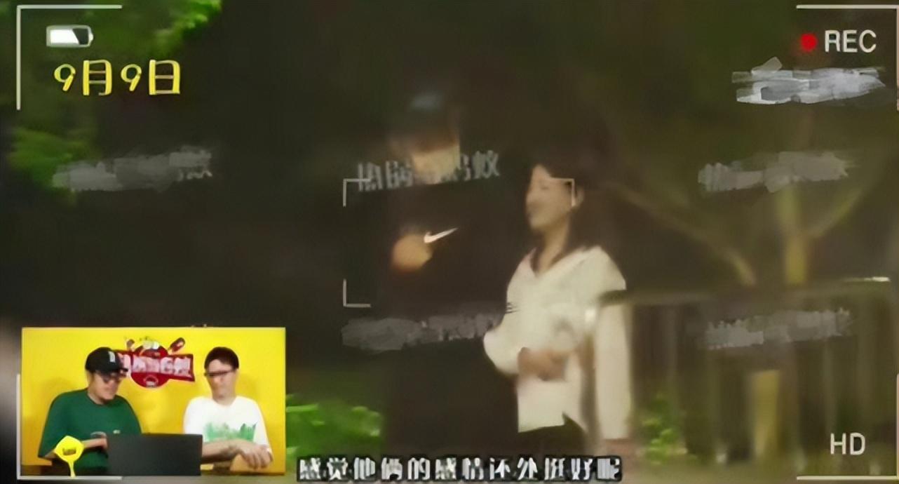 金世佳