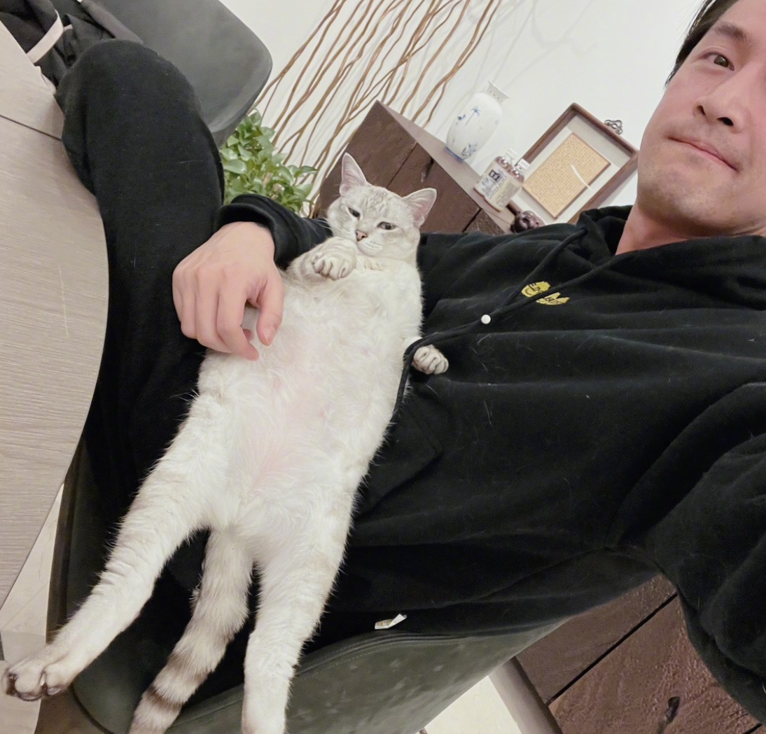 胡歌