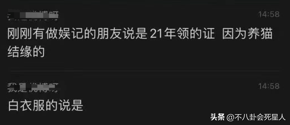 胡歌