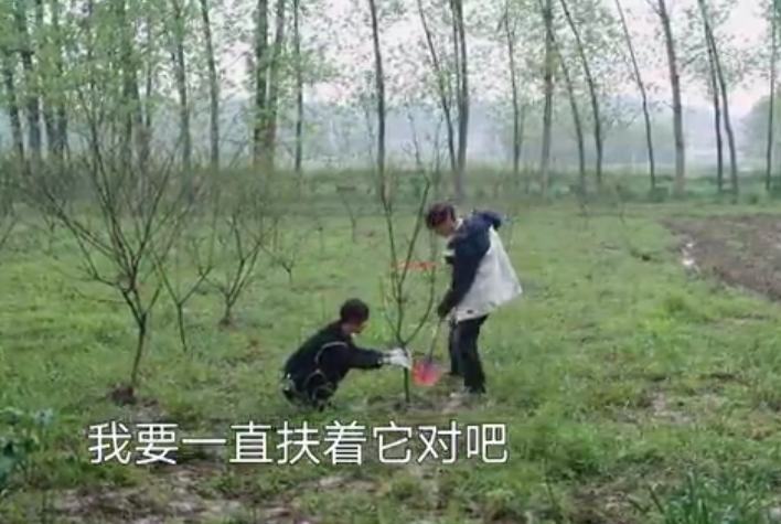 張藝興
